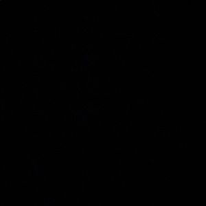 Meet your Posher, Mona